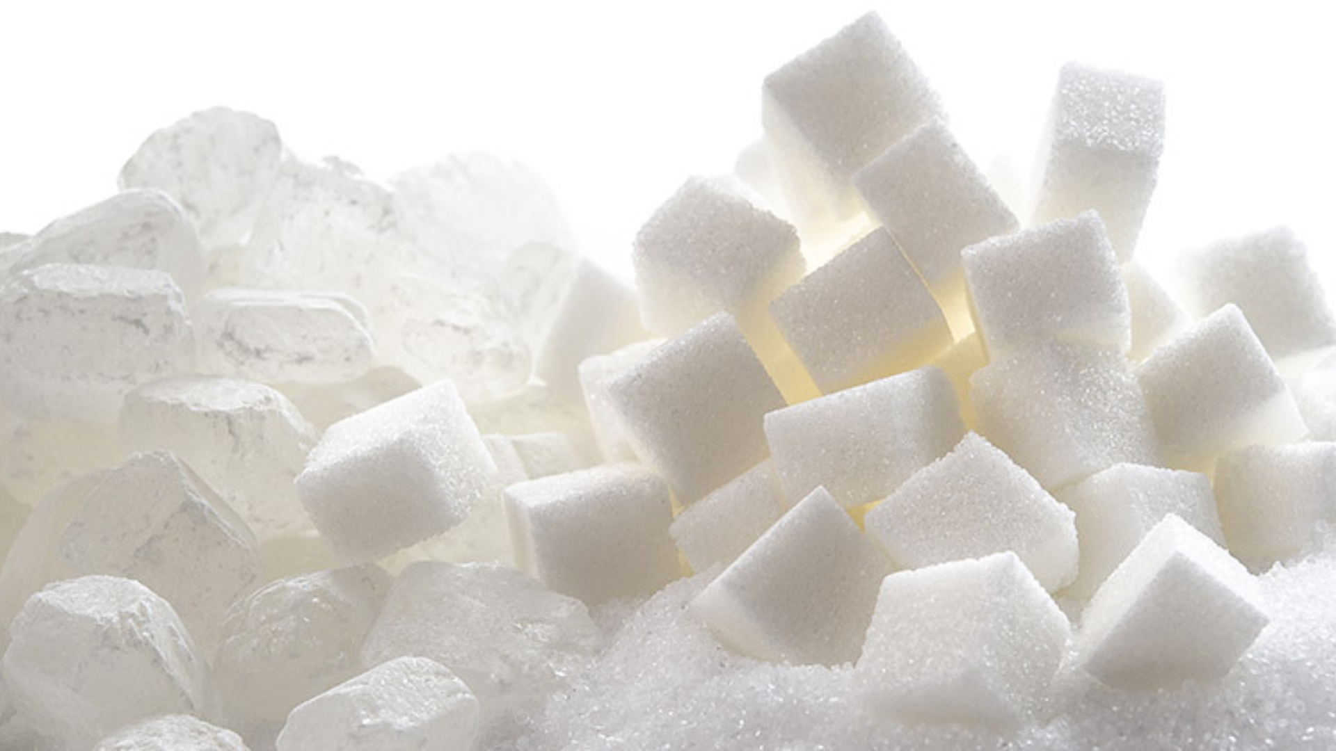 Industrial Mixers for Sugar Processing